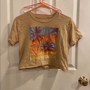 Cropped Hollister tee